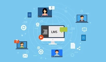 How You Can Increase Business Sustainability with Customer Training
